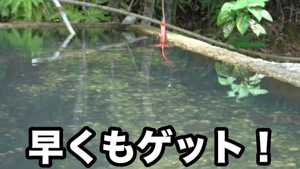餌のミミズに食い付いたターゲットを池から釣り上げる