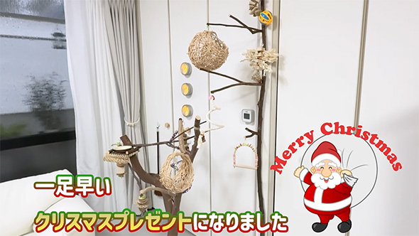 一足早いクリスマスプレゼント