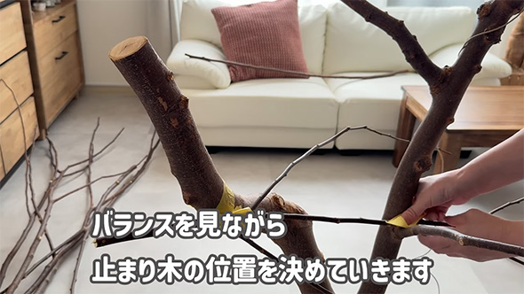 バランスを見ながら