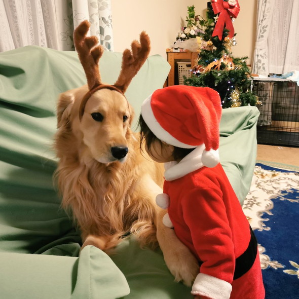 サンタクロースの服を着た2歳の女の子とワンコ