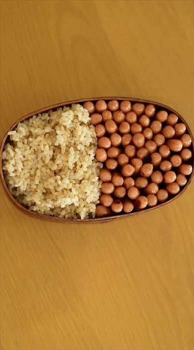 妻にバレずに理想のお弁当を作ってみた