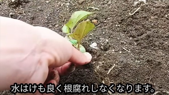 春に備えて雑草対策にもなる水はけ改善