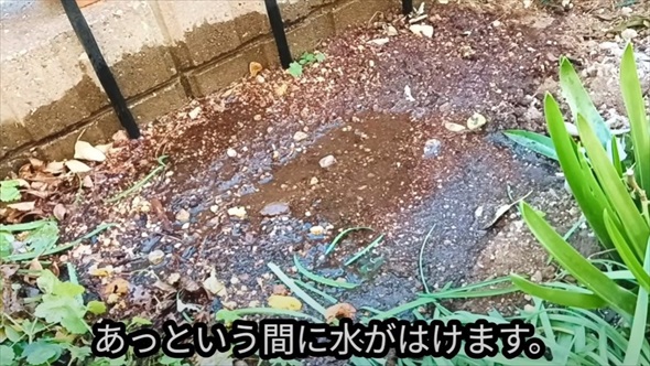 春に備えて雑草対策にもなる水はけ改善