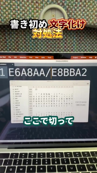 コードを2つに分ける