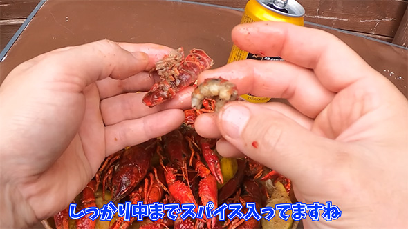 すっかり中までスパイス