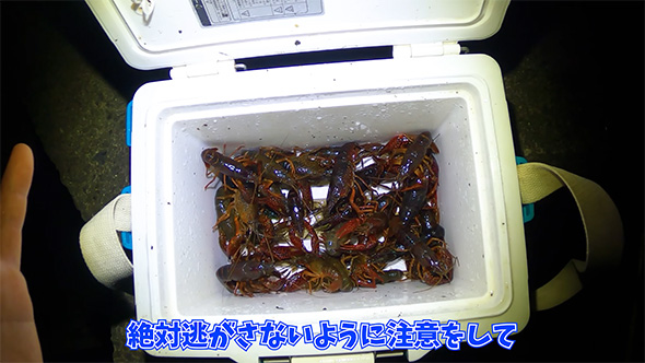 絶対逃がさないよう