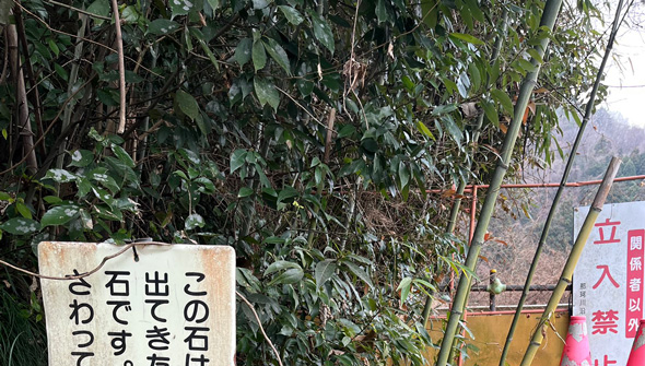 幸運の石なので「さわってあげましょう」がかわいい