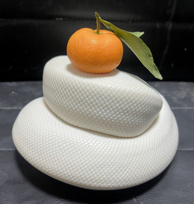 鏡餅のような白蛇さんの写真