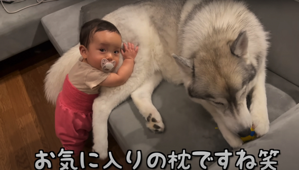 寝つきの悪い一才児が認めた温かくてモフモフな極上枕