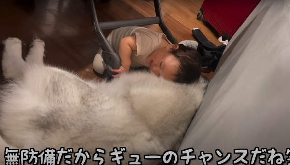 狭い隙間に侵入しワンコをモフモフする娘さん