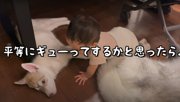 まだ小さいワンコにはナデナデだけ