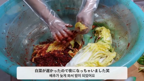 キムチを作るため真っ赤なソースを白菜に塗る