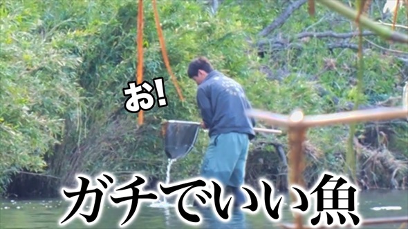 マニア垂涎級の魚を水槽に入れてみたら