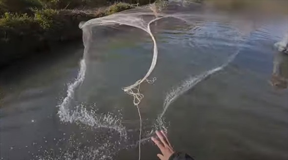 マニア垂涎級の魚を水槽に入れてみたら