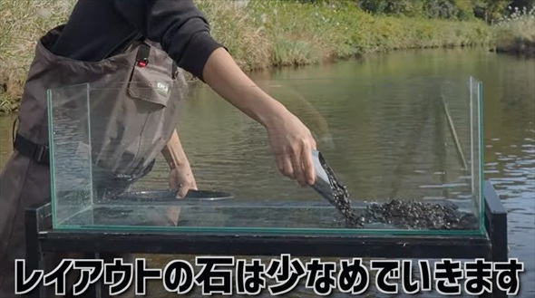 マニア垂涎級の魚を水槽に入れてみたら