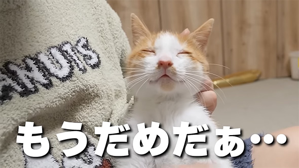 もうだめだぁ