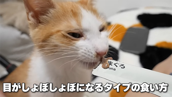 目がしょぼしょぼに