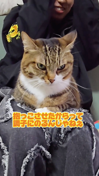 いつも厳しい猫が次男にお年玉