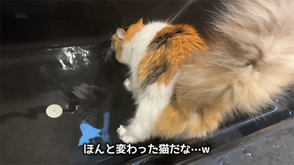 ほんと変わった