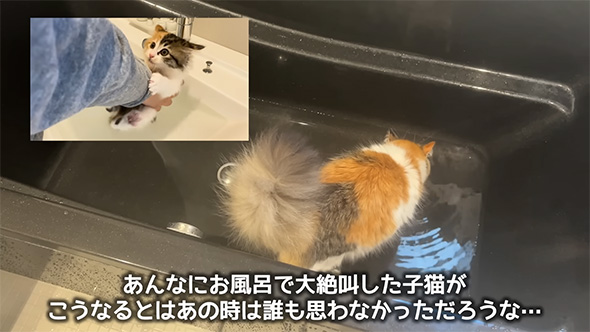 あんなにお風呂で