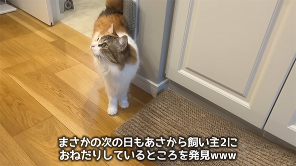 まさかの次の日も