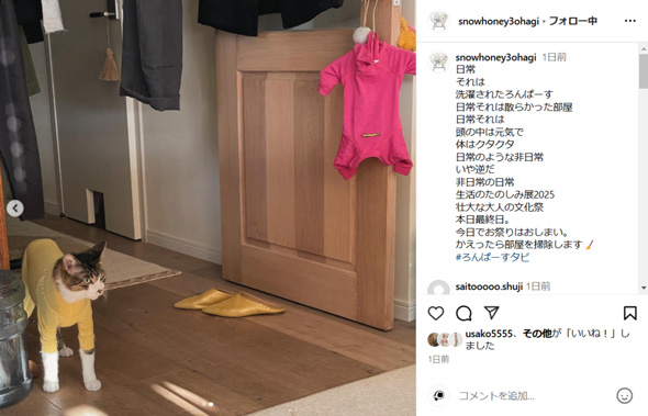 石田ゆり子の部屋