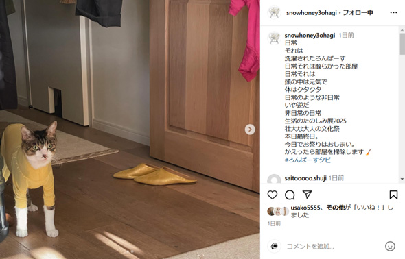 石田ゆり子の部屋