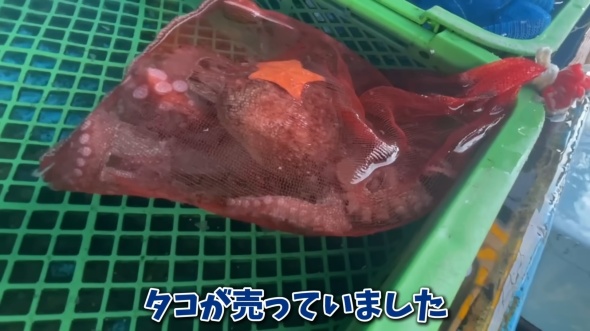 鮮魚店でタコを購入