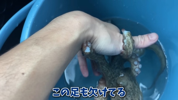 足が欠けている