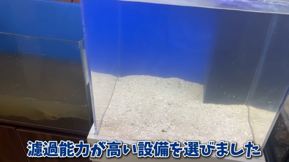 水槽を立ちあげる