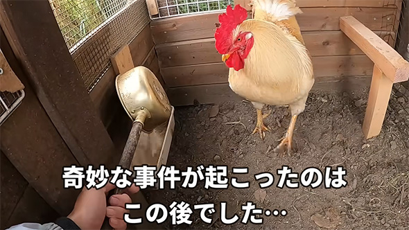 奇妙な事件が起こったのは