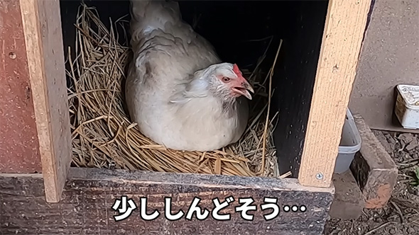 少ししんどそう