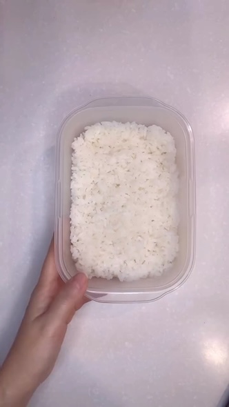 白米だけが入ったお弁当箱