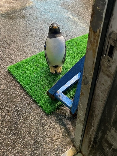 めちゃくちゃ良い姿勢