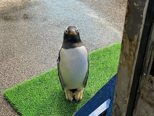 めちゃくちゃ良い姿勢