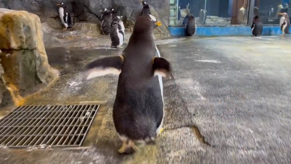 めちゃくちゃ良い姿勢