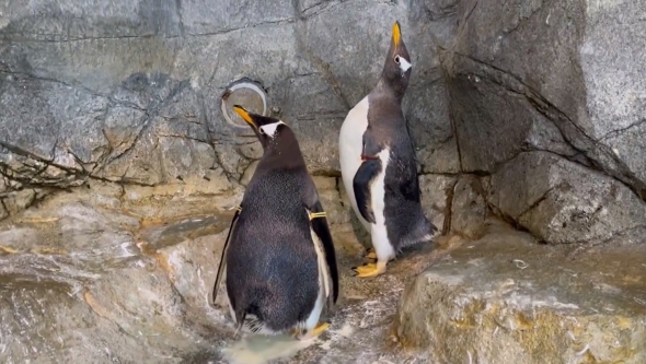 めちゃくちゃ良い姿勢