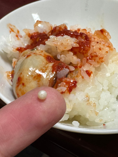 生牡蠣キムチから出てきた真珠