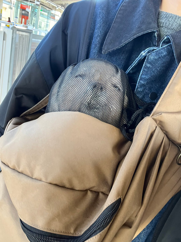 タイツ芸なワンコ