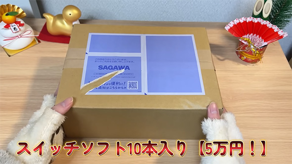 スイッチソフト10本入り
