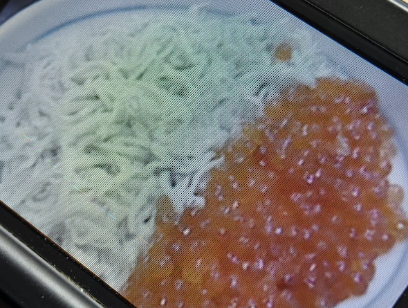 海鮮丼を3DSで撮影