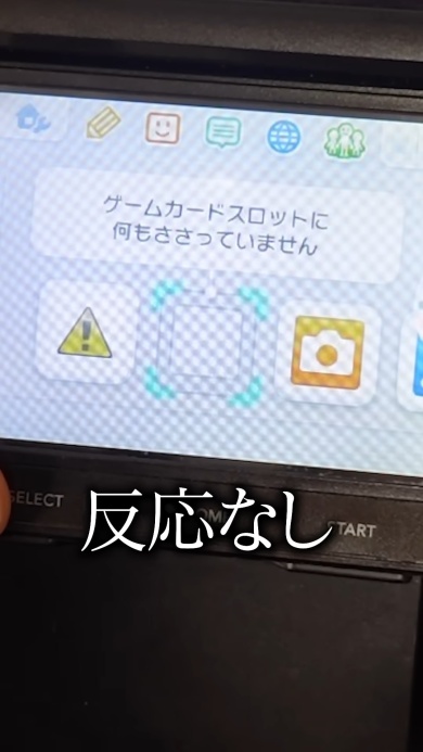100円で売ってた謎のジャンクDSソフト、その中身は…… “とんでも