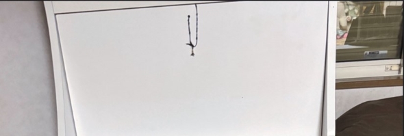 行方不明の猫に聞かせる「夜食のシーバ」