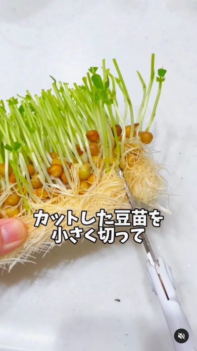 小さくカット