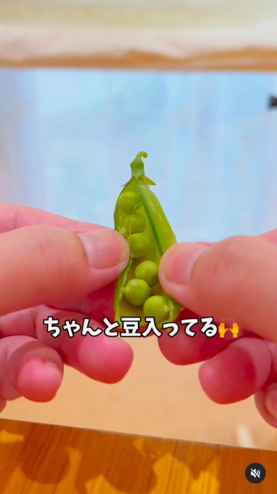 ぎっしり豆がつまっている