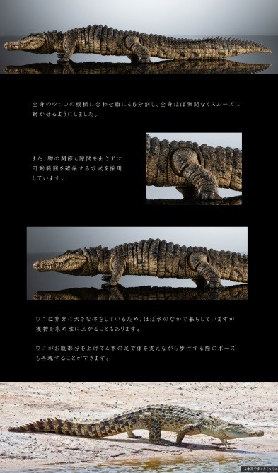いきもの大図鑑　アルティメット　ナイルワニ　ライトカラー BANDAI いきもの大図鑑アルティメット ナイルワニ ライトカラー