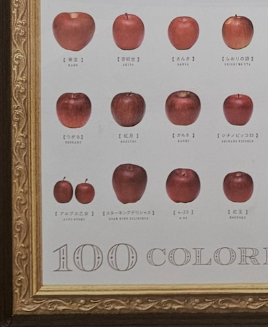 りんご一覧ポスター