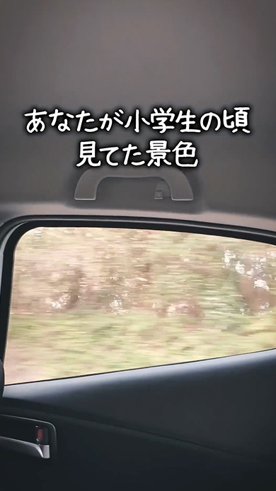 あなたが小学生の頃見てた景色