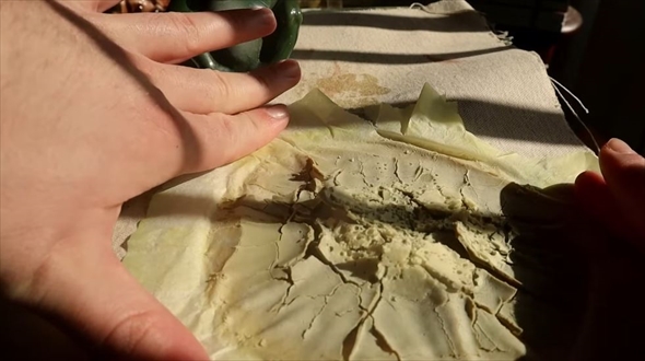 マツ科の植物の葉から絵の具作ってみた