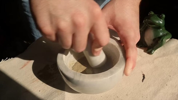 マツ科の植物の葉から絵の具作ってみた